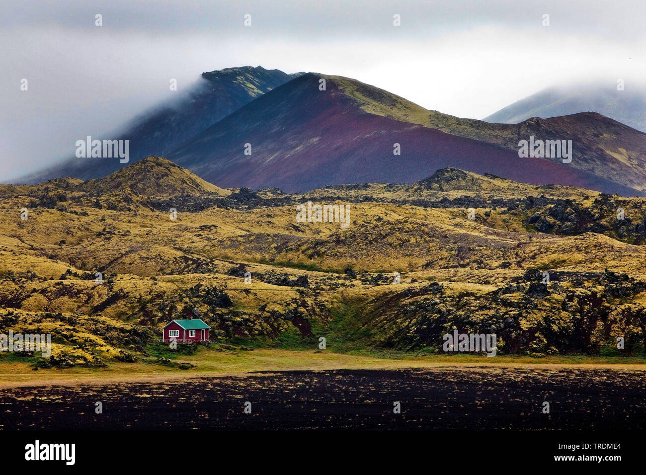 solitary house in volcanic landscape, Iceland, Snaefellsnes Stock Photo
