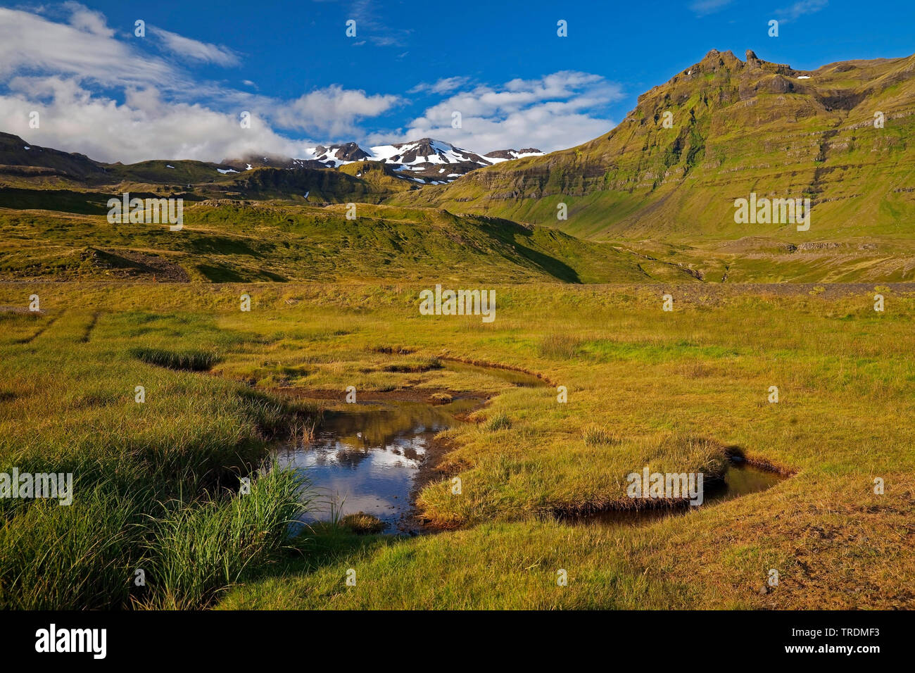 spring in mountain landscape, Iceland, Snaefellsnes Stock Photo