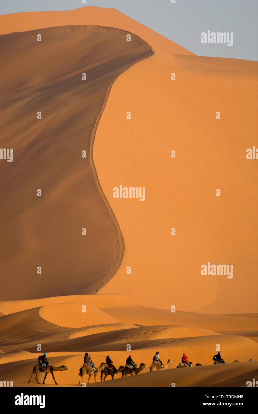 Sand dunes in Marocco, Morocco, Erg Chebbi, Merzouga Stock Photo