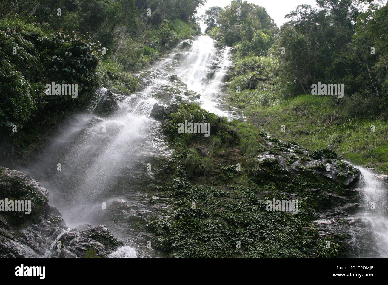 waterfall at Mt Kinabalu, Indonesia, Borneo, Kinabalu National Park Stock Photo
