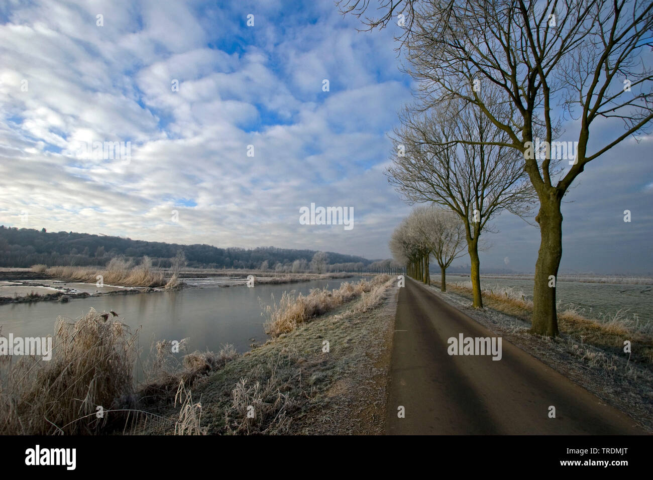 Ooijpolder on cold day, Netherlands, Gelderland Stock Photo