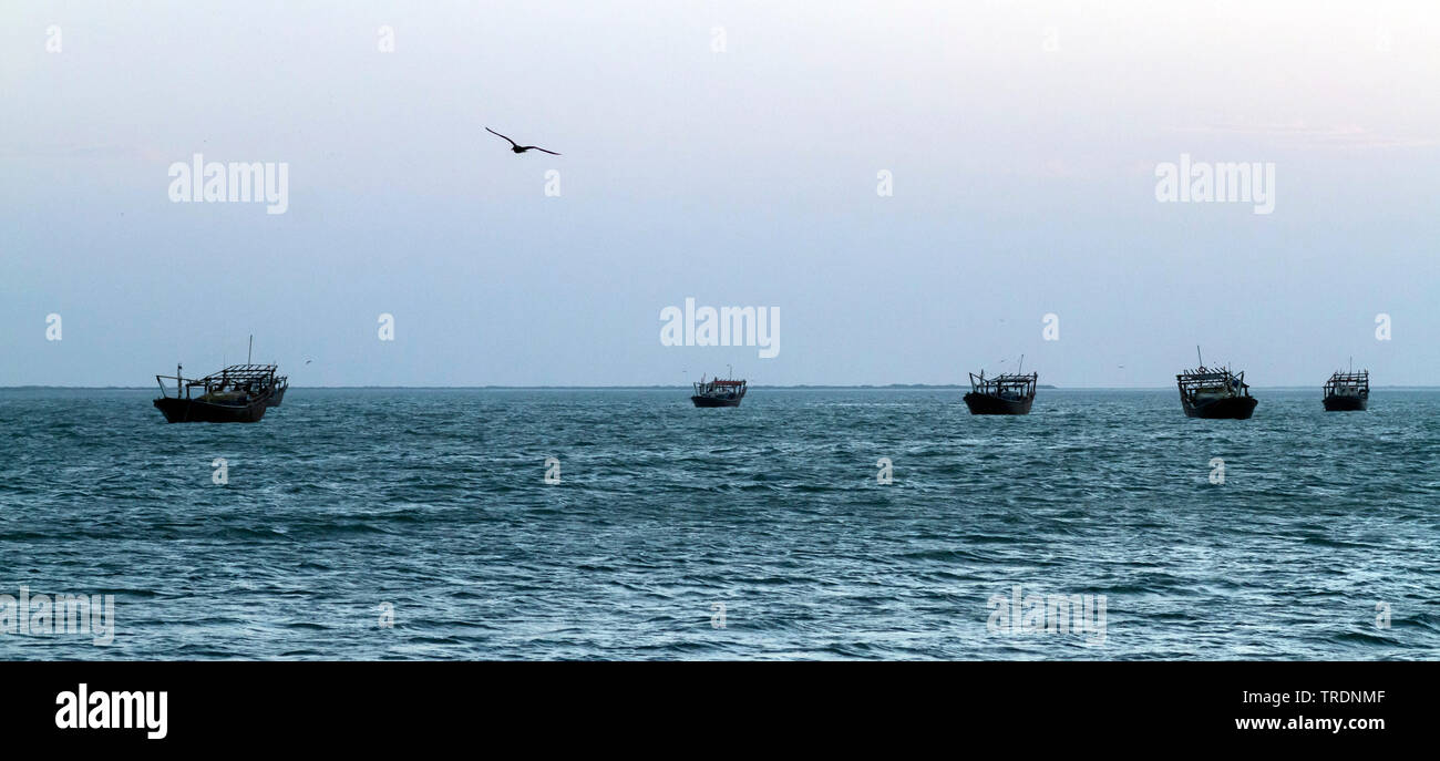 Dhows off the coast of Barr Al Hikman, Oman Stock Photo