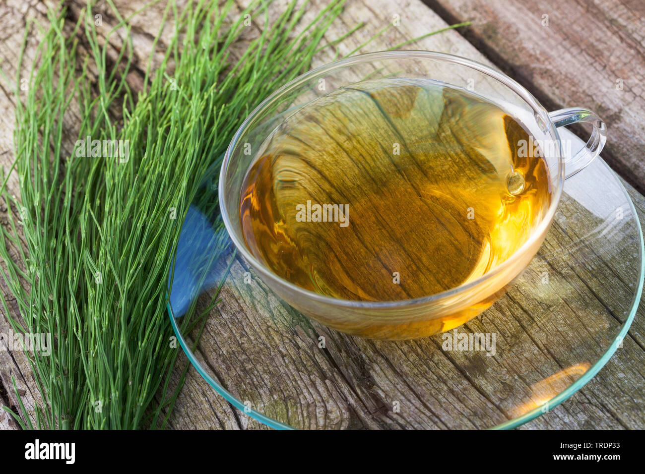 field horsetail (Equisetum arvense), tea made of field horsetail