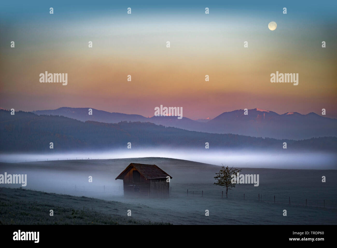 mountain landscape in morning mist near Murnau, Germany, Bavaria, Oberbayern, Upper Bavaria, Murnau Stock Photo