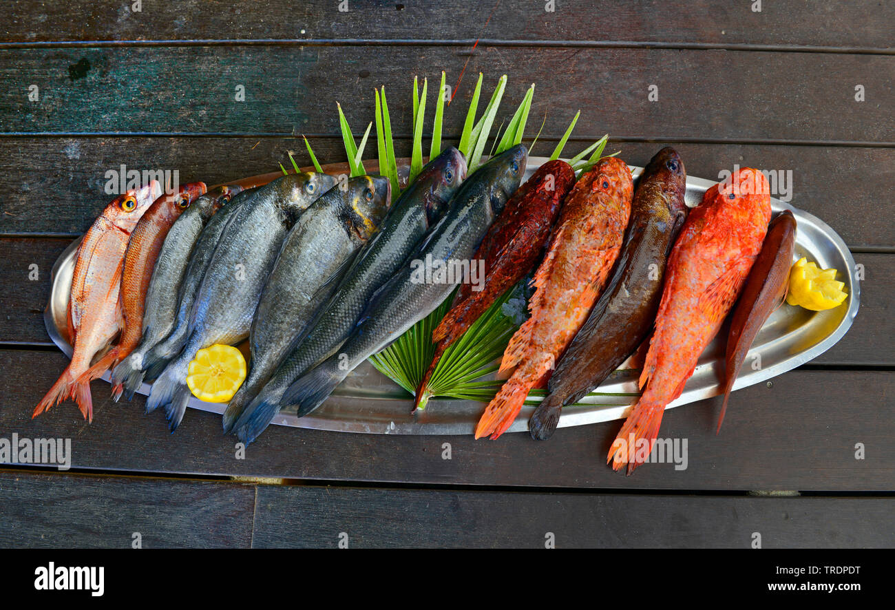 Corsica fish hires stock photography and images Alamy