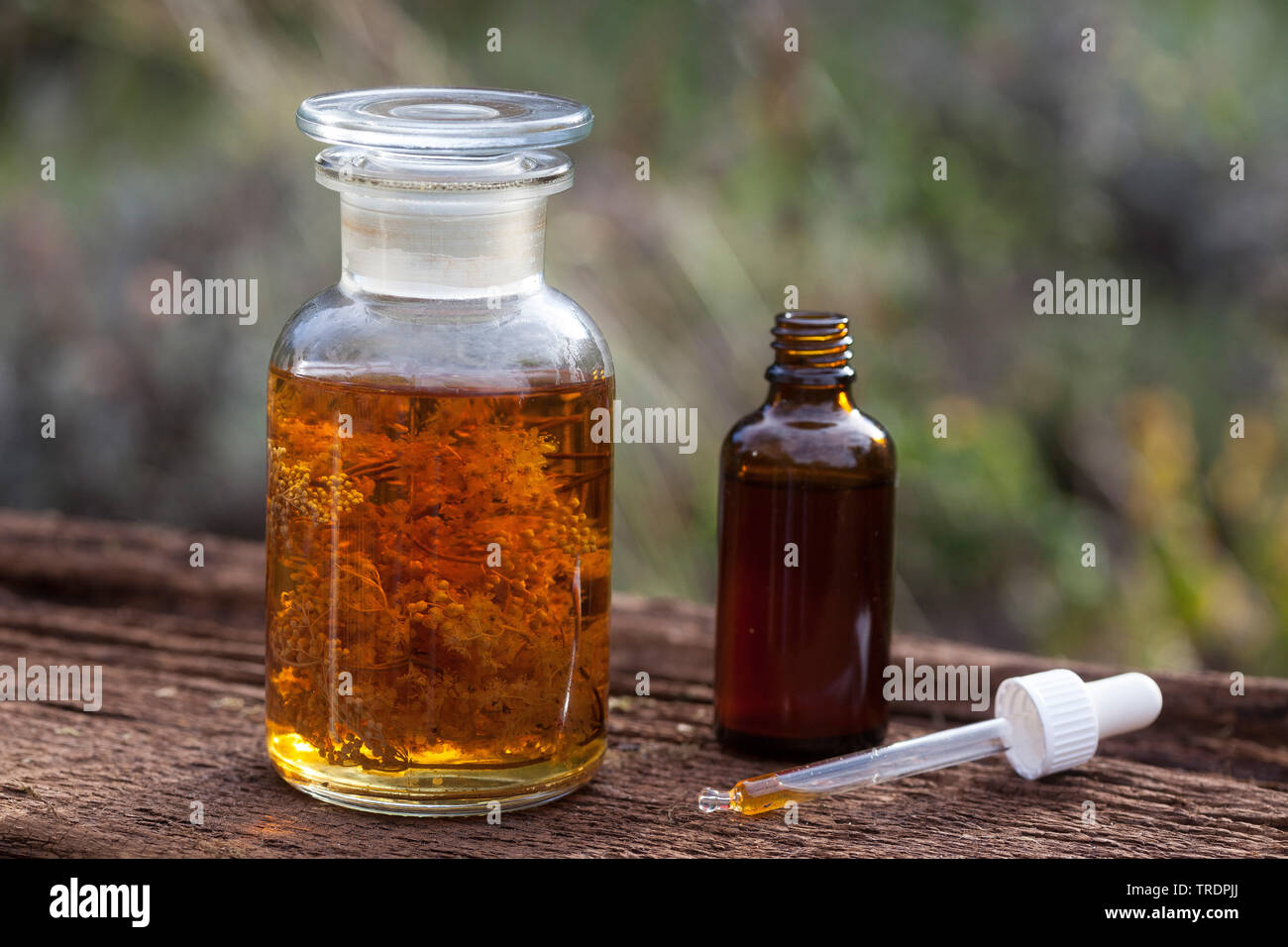 meadowsweet, queen-of-the-meadow (Filipendula ulmaria), self made tincture in alcohol, Germany Stock Photo
