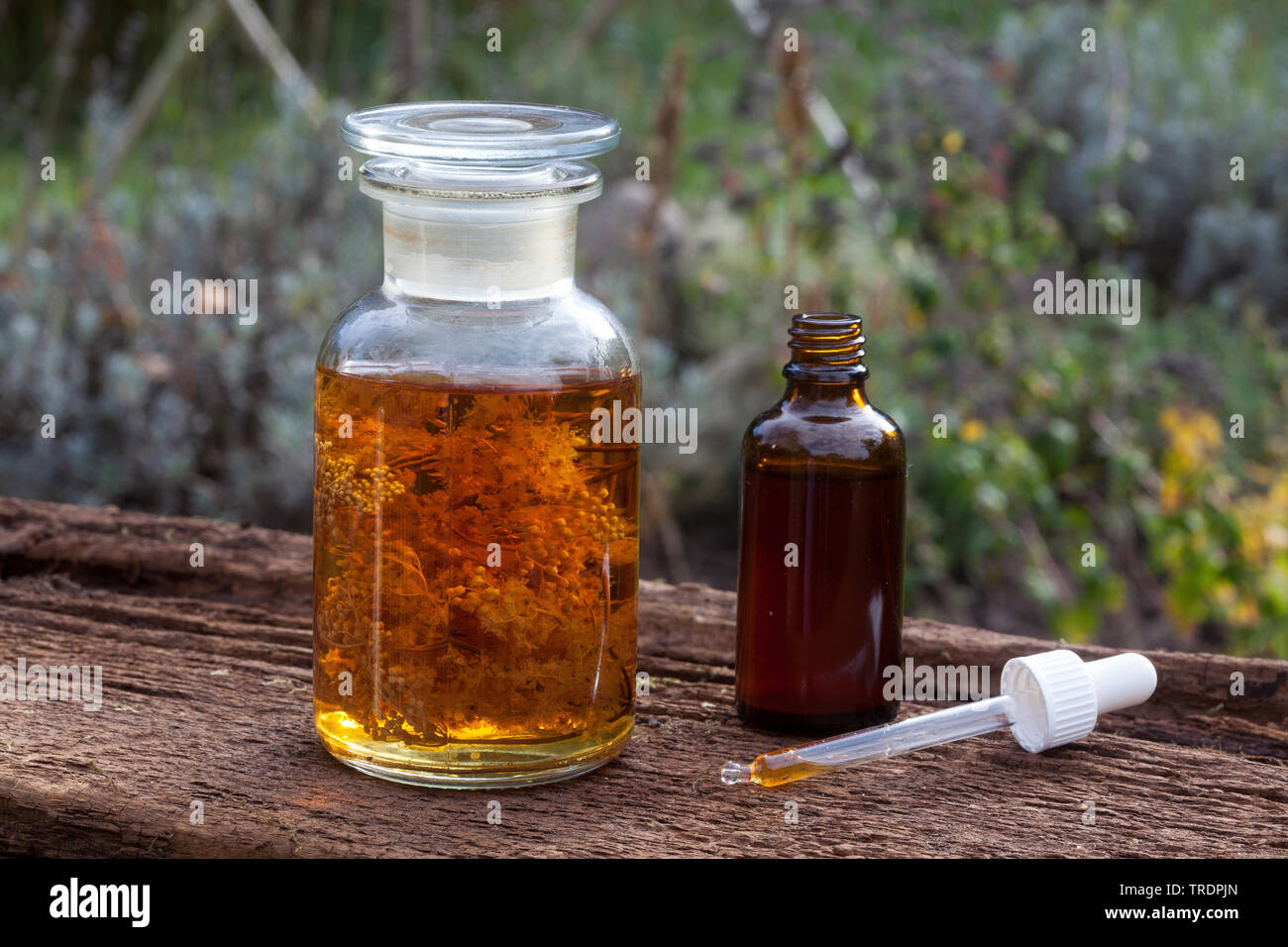 meadowsweet, queen-of-the-meadow (Filipendula ulmaria), self made tincture in alcohol, Germany Stock Photo