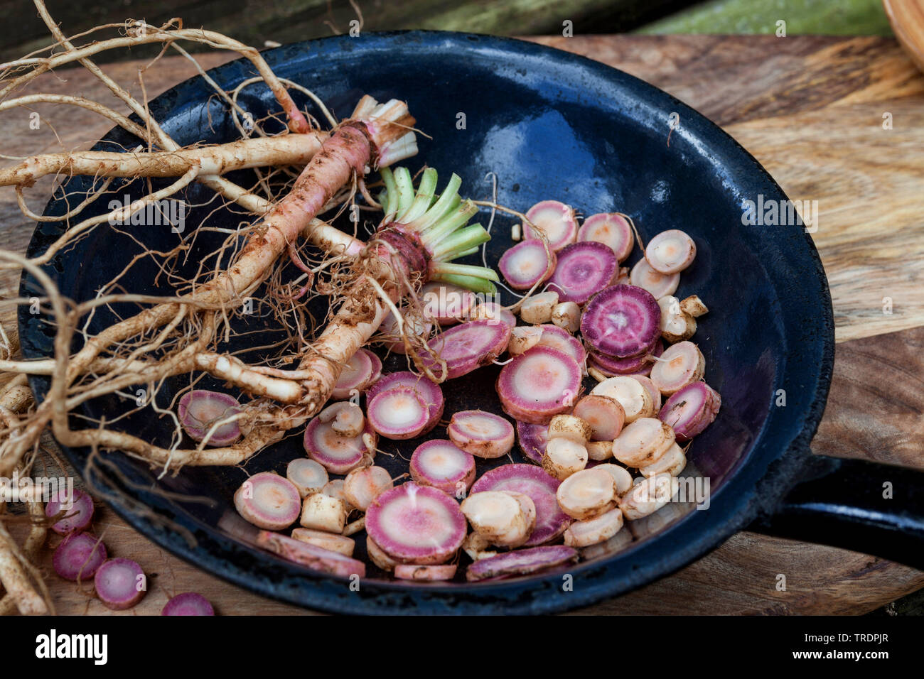 common evening primrose (Oenothera biennis), evening primrose roots, sliced in a pan, Germany Stock Photo