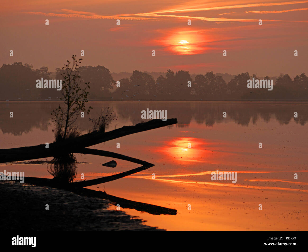 sunrise over a lake in Lusatia, Germany, Oberlausitz, Upper Spree Stock Photo