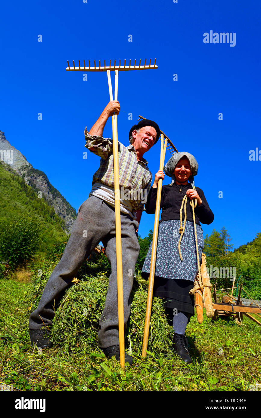 traditional alpine farmers with wooden rakes on mowed mountain meadow, France, Savoie, Sainte Foy Tarentaise Stock Photo