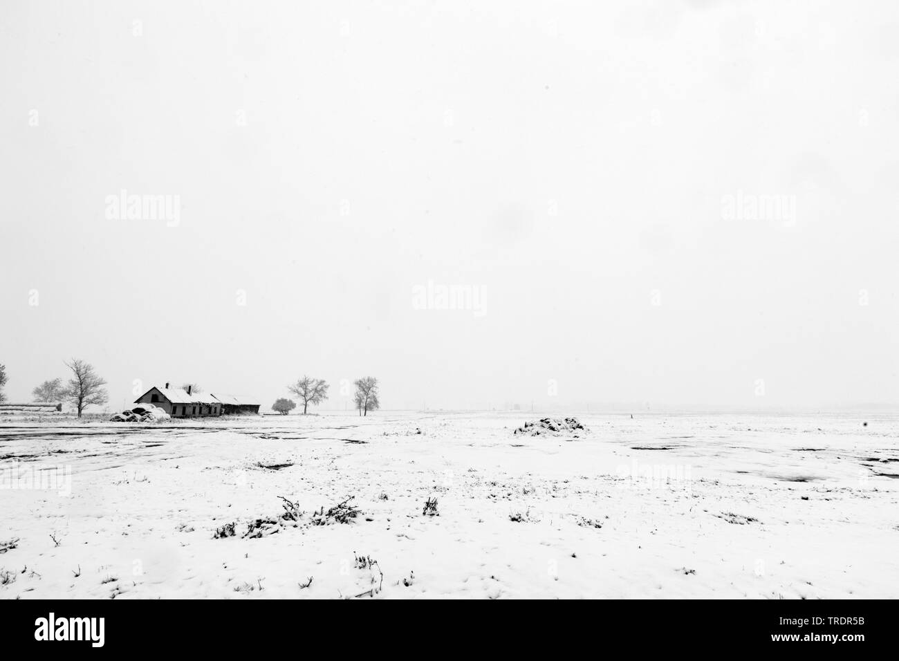 Winter landscape with farmhouse in black and white, Hungary Stock Photo