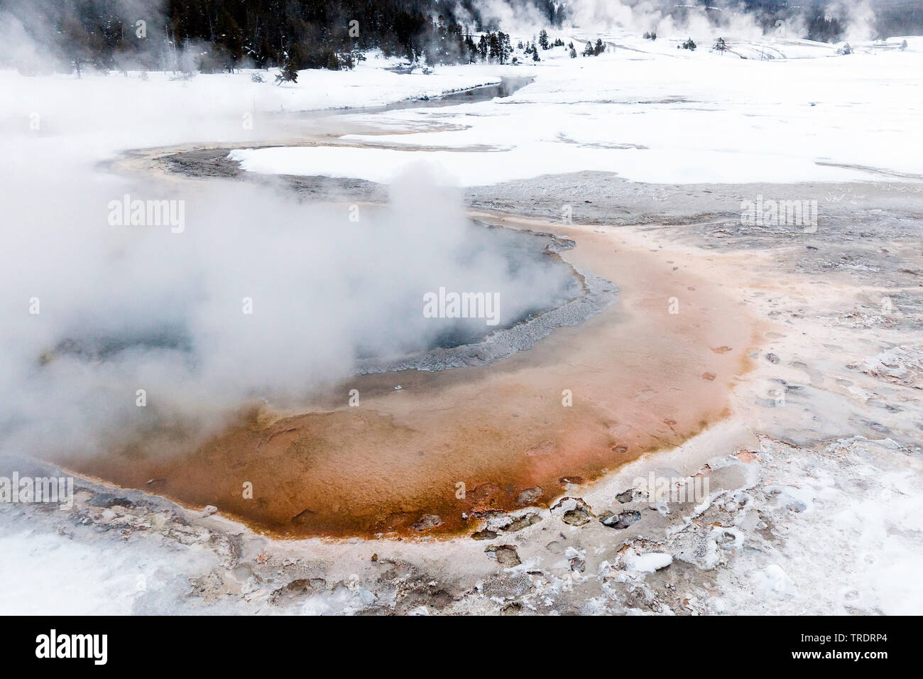 hot spring in winter, USA, Wyoming, Yellowstone National Park Stock Photo