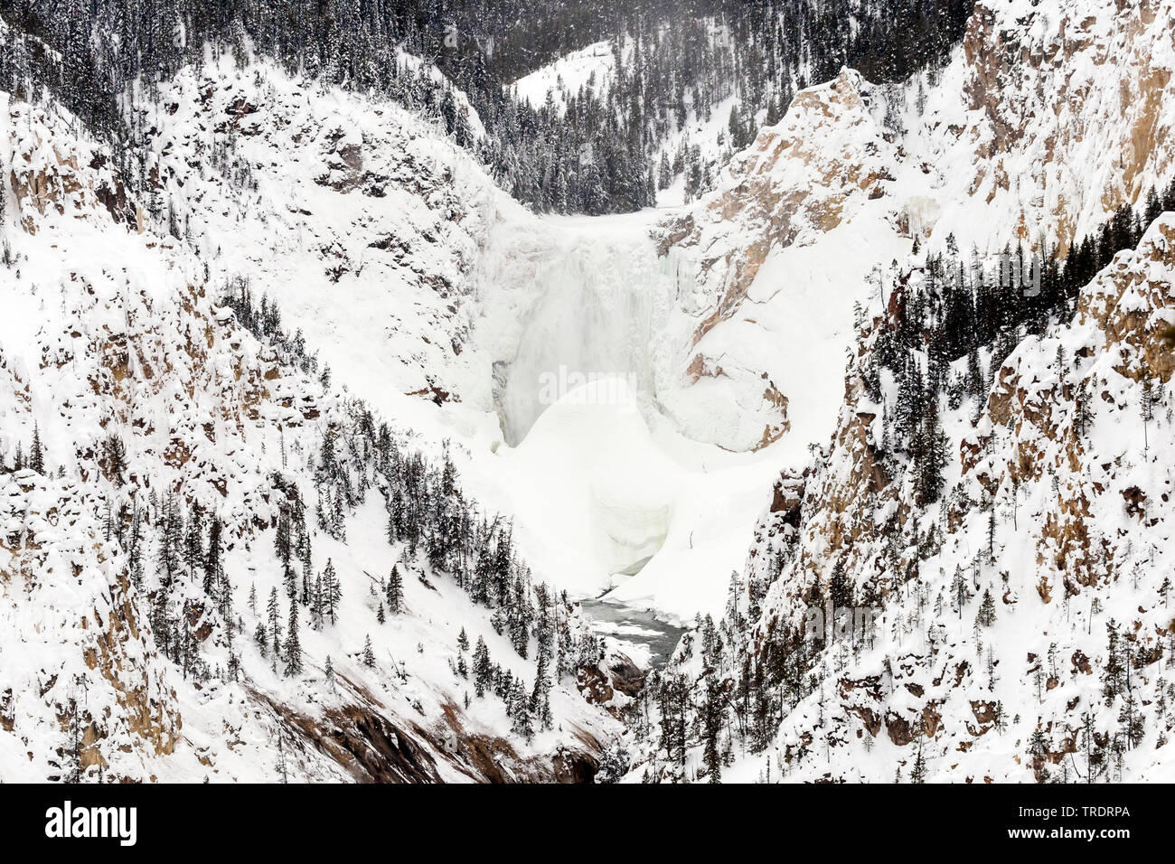snow-covered Lower Falls, USA, Wyoming, Yellowstone National Park Stock Photo