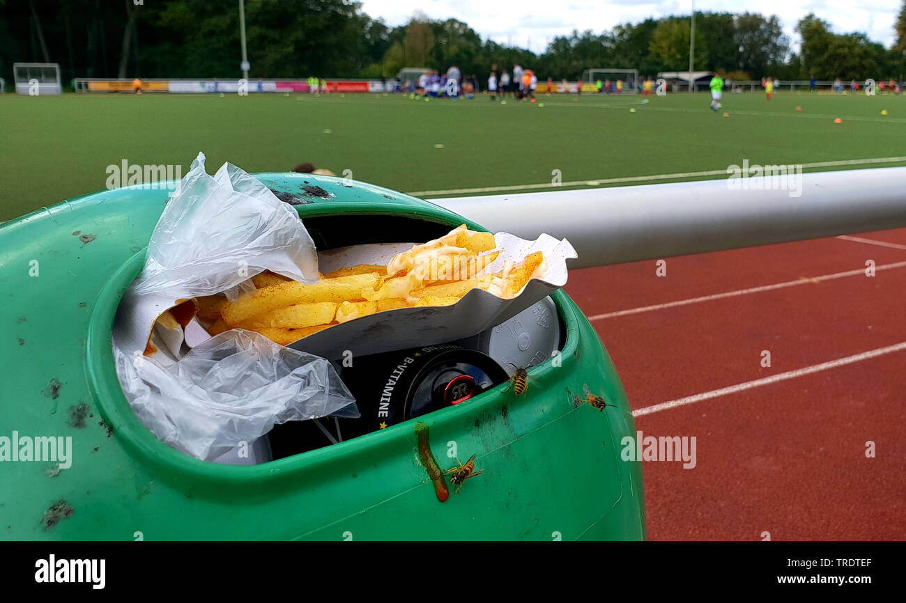 full trashcan with french fries on a soccer pitch Stock Photo