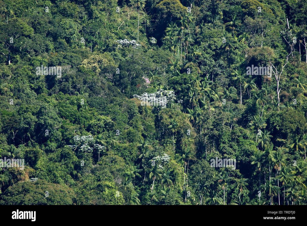 Brazilian national parks hires stock photography and images Alamy