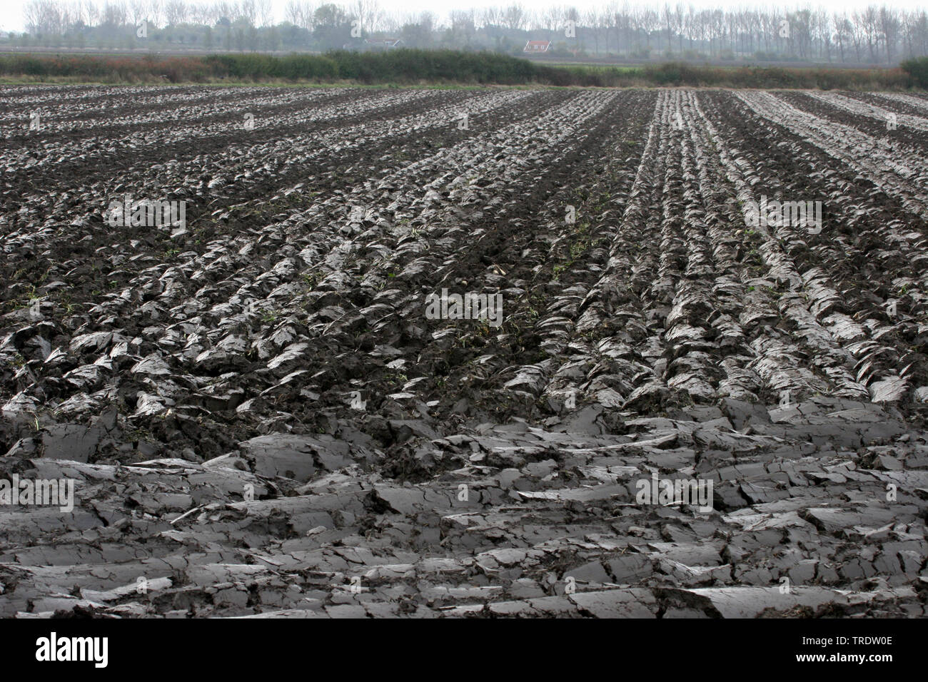 clay ground, fruitful field after ploughing, Netherlands Stock Photo