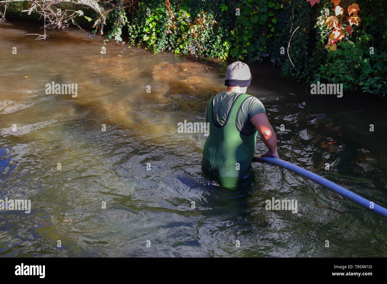 angler cleaning the gravel spawning ground for some fish species, Germany, Bavaria, Dorfen, Schwaig Stock Photo