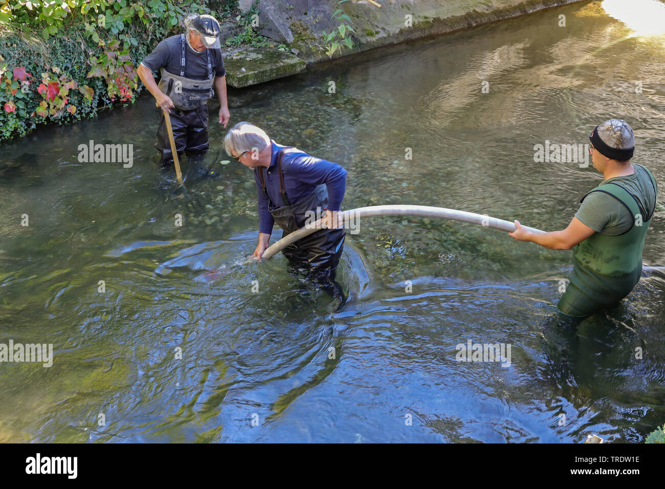 anglers and fire brigade cleaning the gravel spawning ground for some fish species, Germany, Bavaria, Dorfen, Schwaig Stock Photo