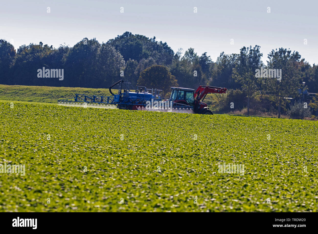 application of pesticids, Germany, Bavaria Stock Photo