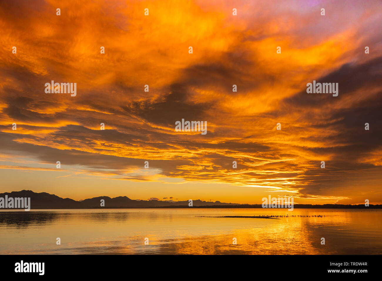 lake Chiemsee in red sunset, Germany, Bavaria, Lake Chiemsee Stock Photo