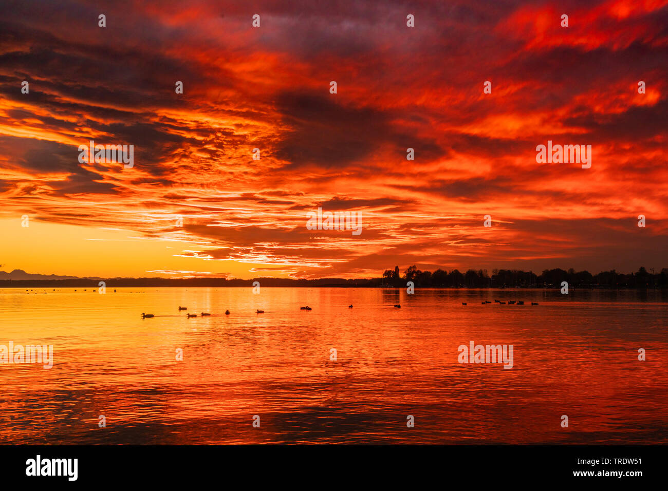 lake Chiemsee in red sunset, Germany, Bavaria, Lake Chiemsee Stock Photo