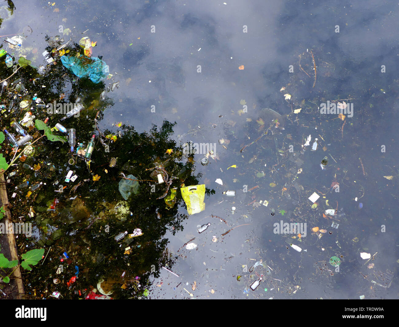 water pollution with rubbish, Germany Stock Photo