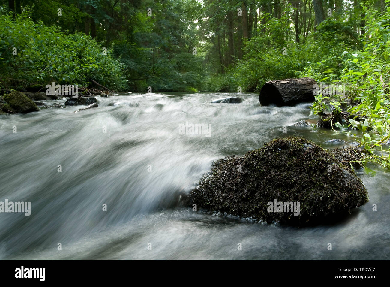 Fast flowing stream in hi-res stock photography and images - Alamy