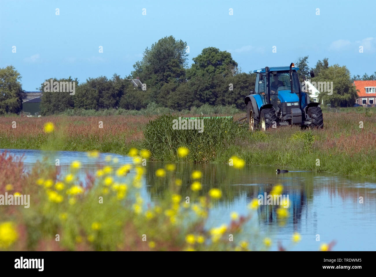 Farmer mowing meadow, Netherlands Stock Photo