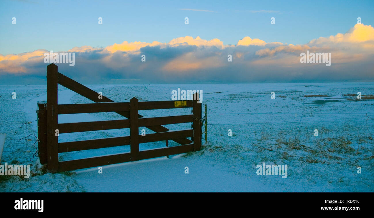 gate in winter landscape, Netherlands, Lauwersmeer Stock Photo