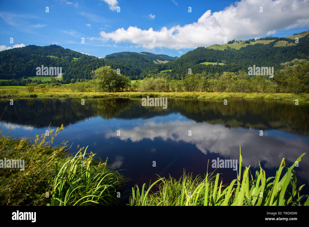 moor lake an mountain scenery, Austria, Tyrol, Schwemm, Schwemm Stock Photo