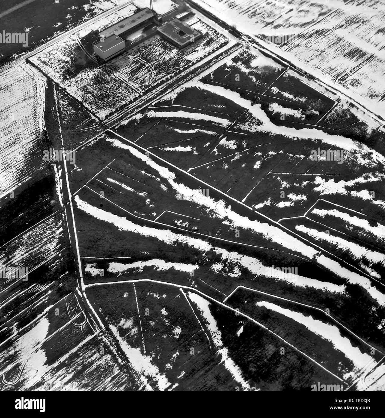 highway A8 with lake Chiemsee in the background, aerial picture from the year 1960, Germany, Bavaria, Garching Stock Photo