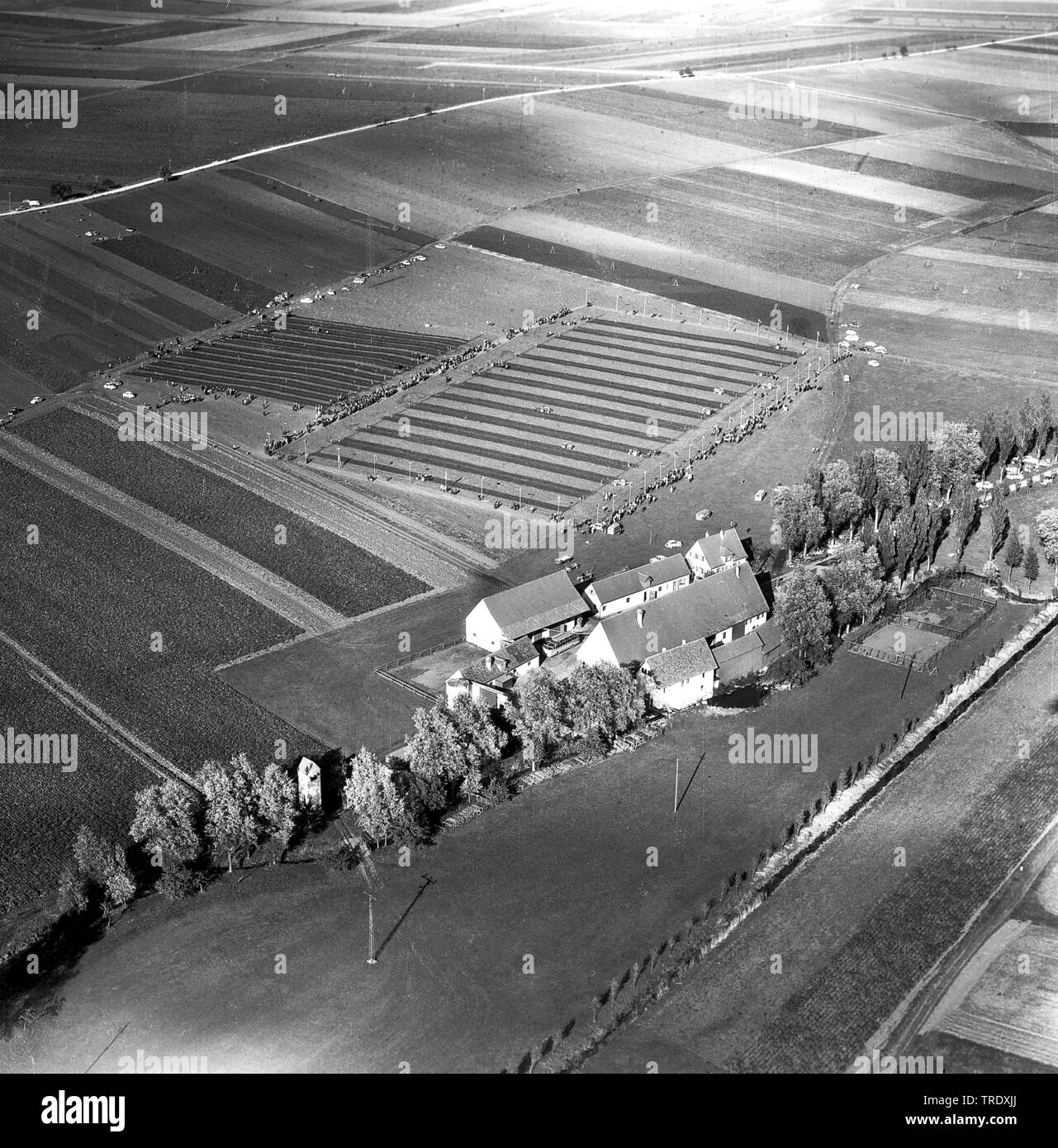 plowing contest at Windelheim, aerial photo from the year 1960, Germany, Bavaria, Windsheim Stock Photo