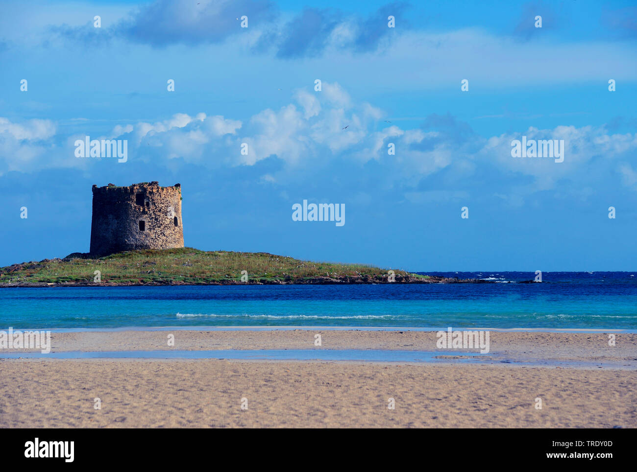La Pelosa beach and Isola Piana with the old guard tower, Italy, Sardegna, Stintino Stock Photo