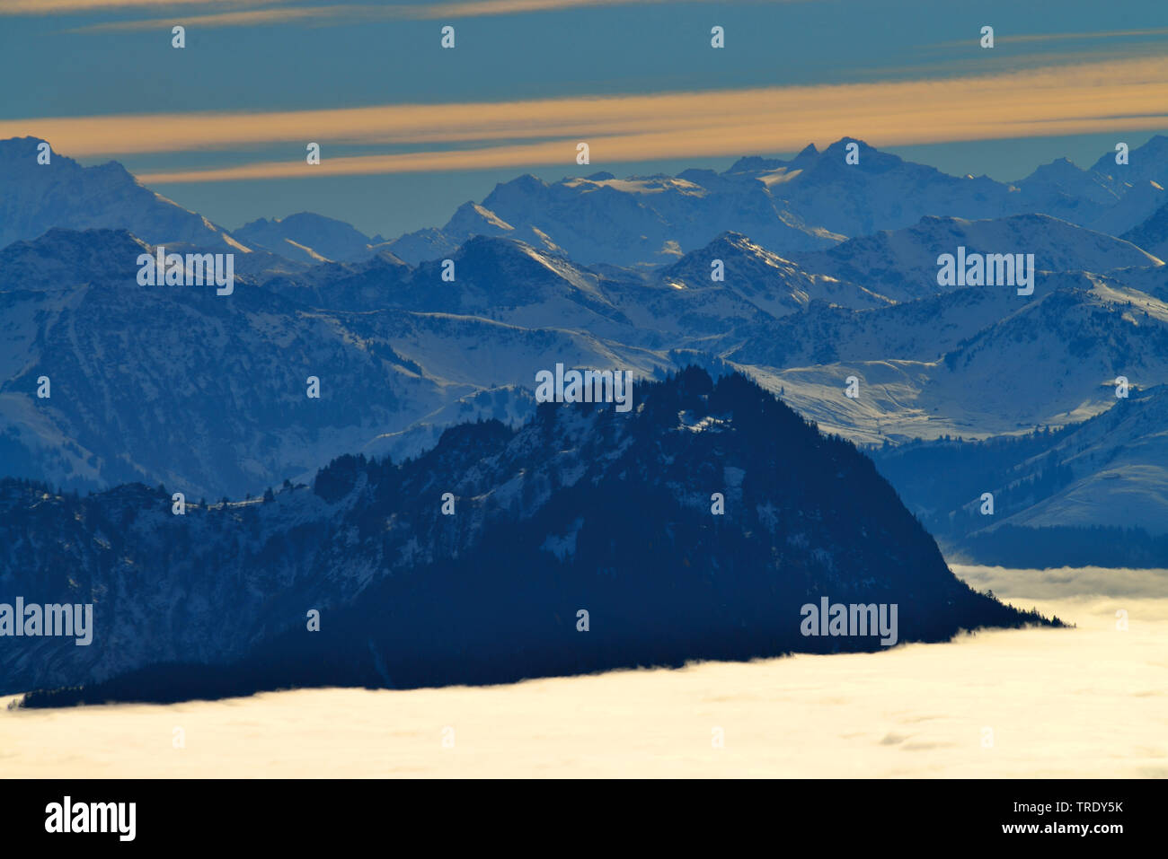 montain wood with mist, view from montain Kampenwand, Hohe Tauern in the background, Germany, Bavaria, Chiemgauer Alpen Stock Photo