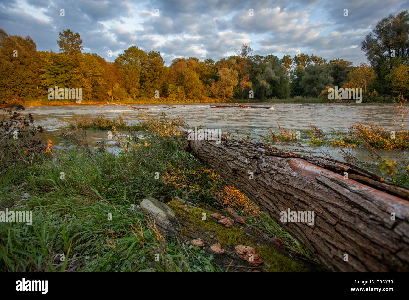 nature reserve Mittlere Isarauen between Moosburg and Hangenham, Germany, Bavaria Stock Photo nature reserve Mittlere Isarauen between Moosburg and Hangenham, Germany, Bavaria Stock Photo