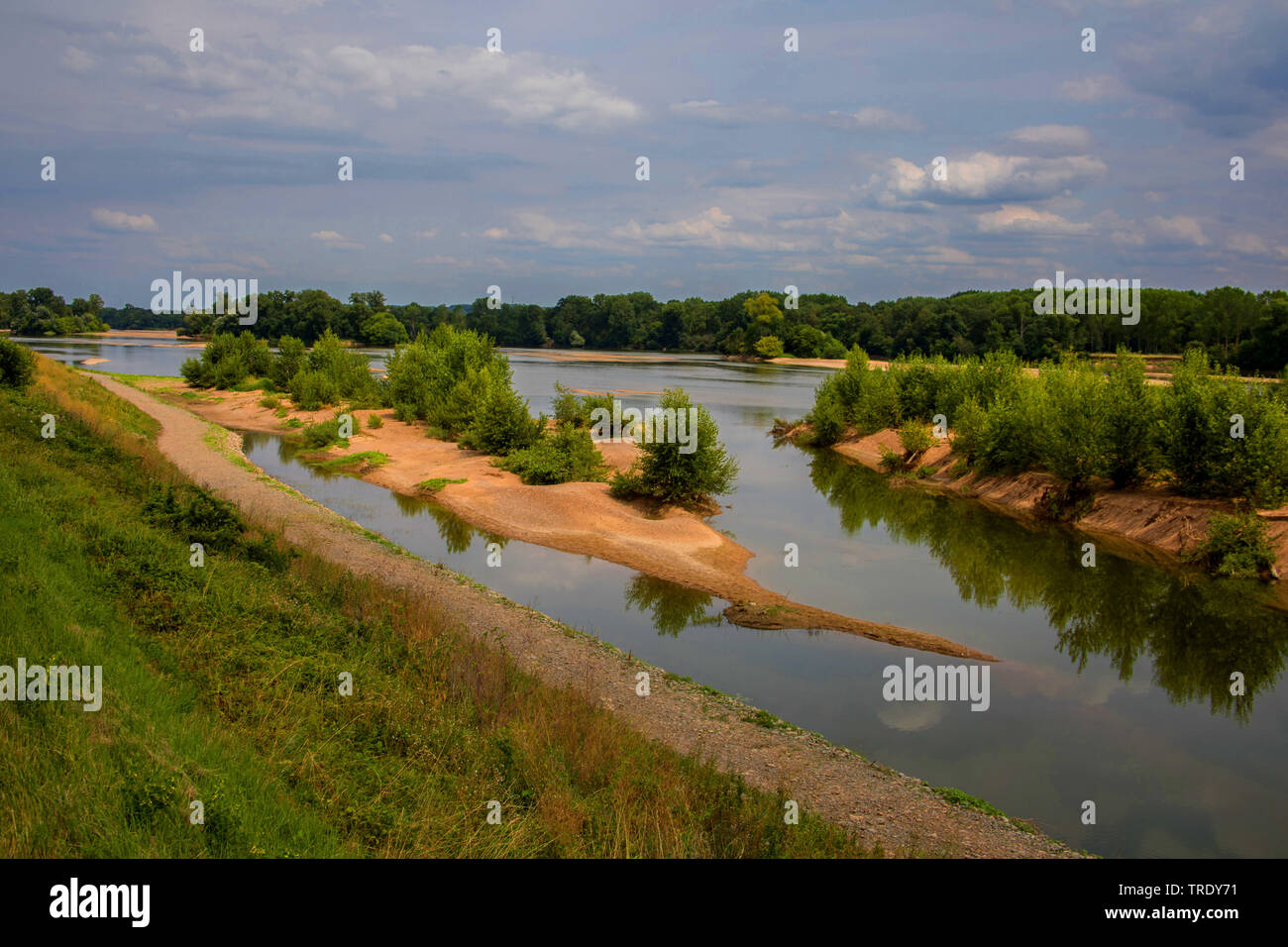Loire between Saumur and Tours, one of a few wild rivers in Europe, France Stock Photo