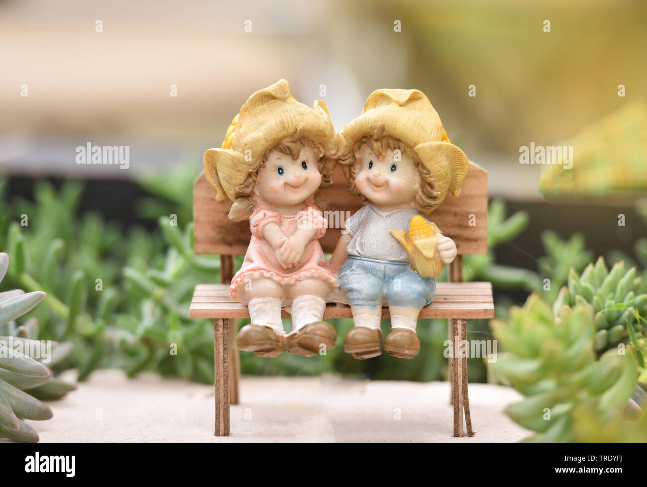 Little couple doll cute sitting on wooden bench decorate the ...