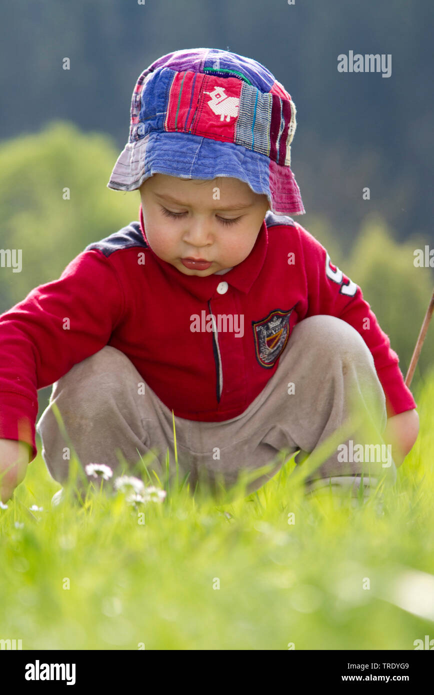 Portrait of a young boy sitting on a lawn and playing with daisies Stock Photo