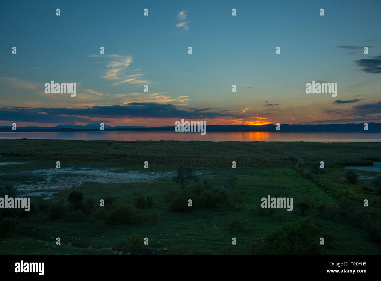 Lake Neusiedl at sunset, Austria, Burgenland, Neusiedler See National Park, Illmitz Stock Photo