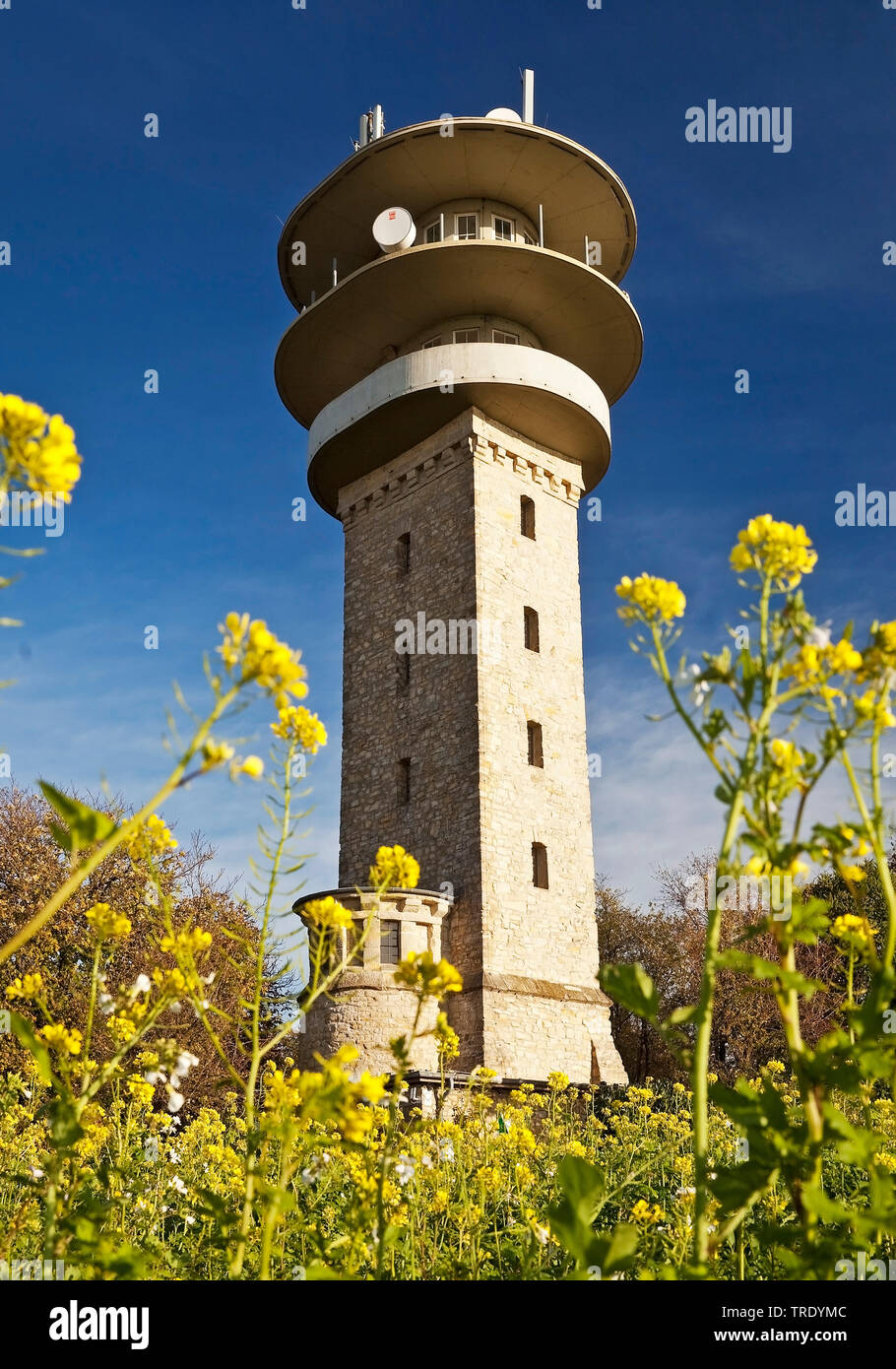 Longinus Tower on Westerberg hill, Baumberge, Germany, North Rhine