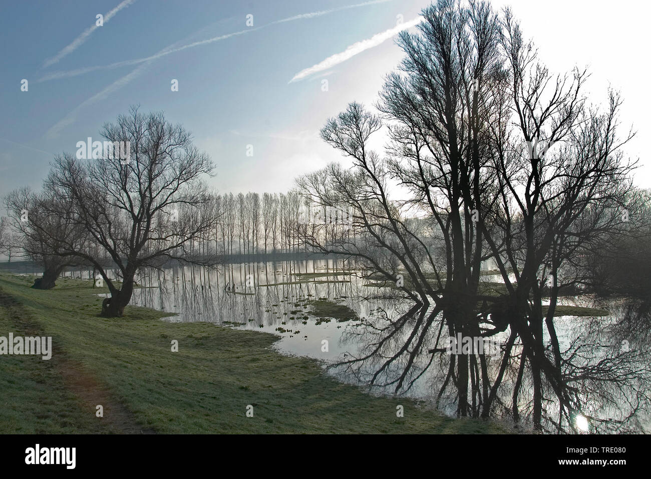 Deeneplaat polder in the Biesbosch, Netherlands, Noord-Brabant, De Biesbosch National Park, werkendam Stock Photo