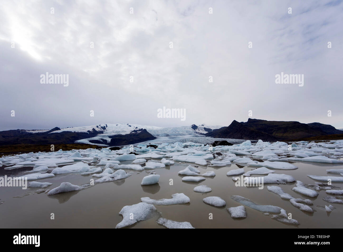 iceberg Fjallsarlon, glacier calving into the lagoon, Iceland, Vatnajoekull National Park Stock Photo