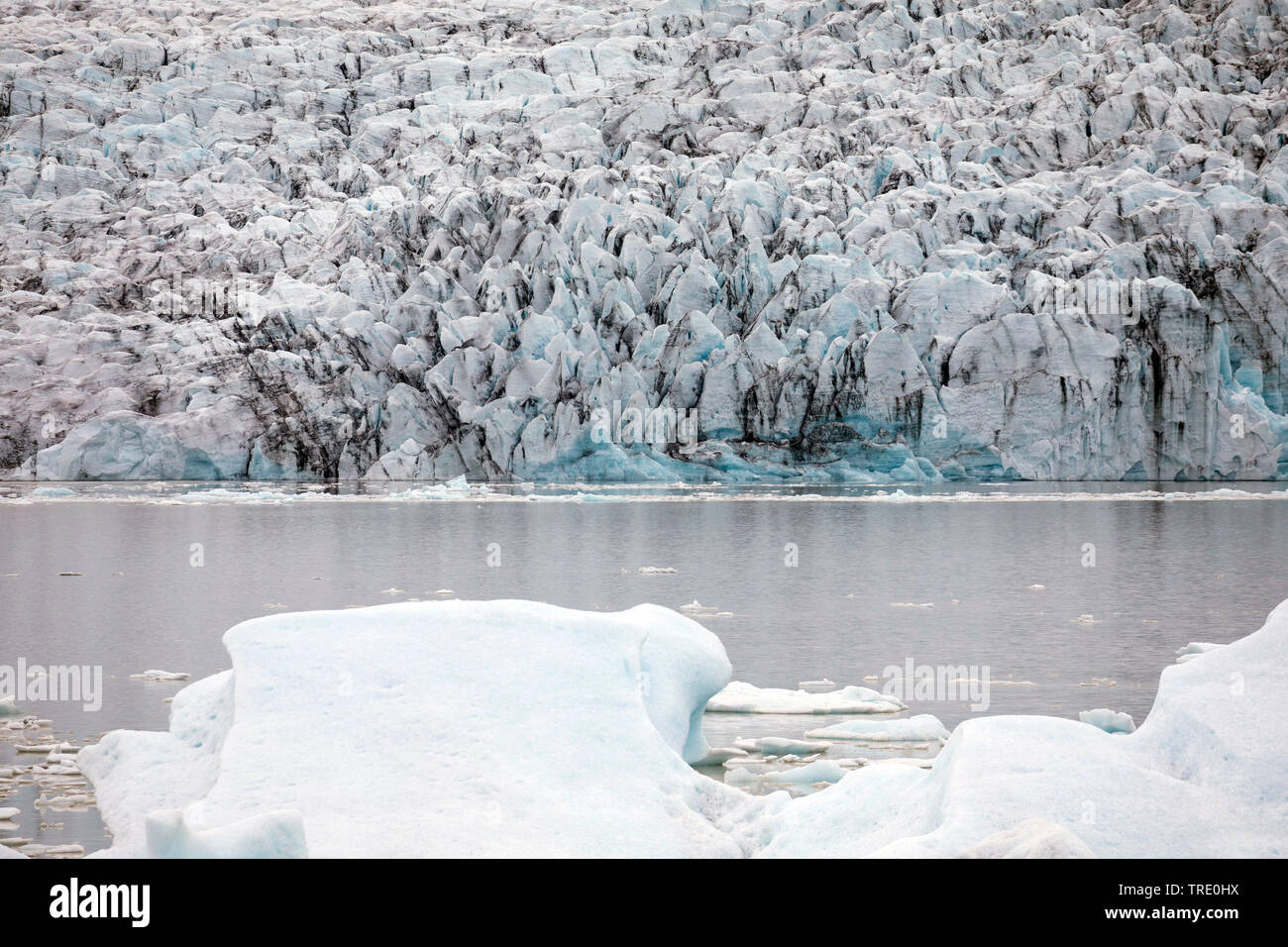 iceberg Fjallsarlon, glacier calving into the lagoon, Iceland, Vatnajoekull National Park Stock Photo