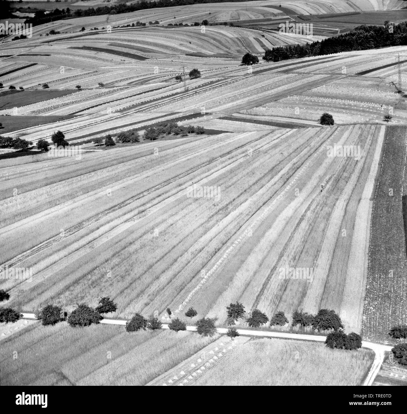 field landscape, fiel consolidation at Markt Heidenfeld, historical aerial photo, 20.08.1962, Germany, Bavaria Stock Photo