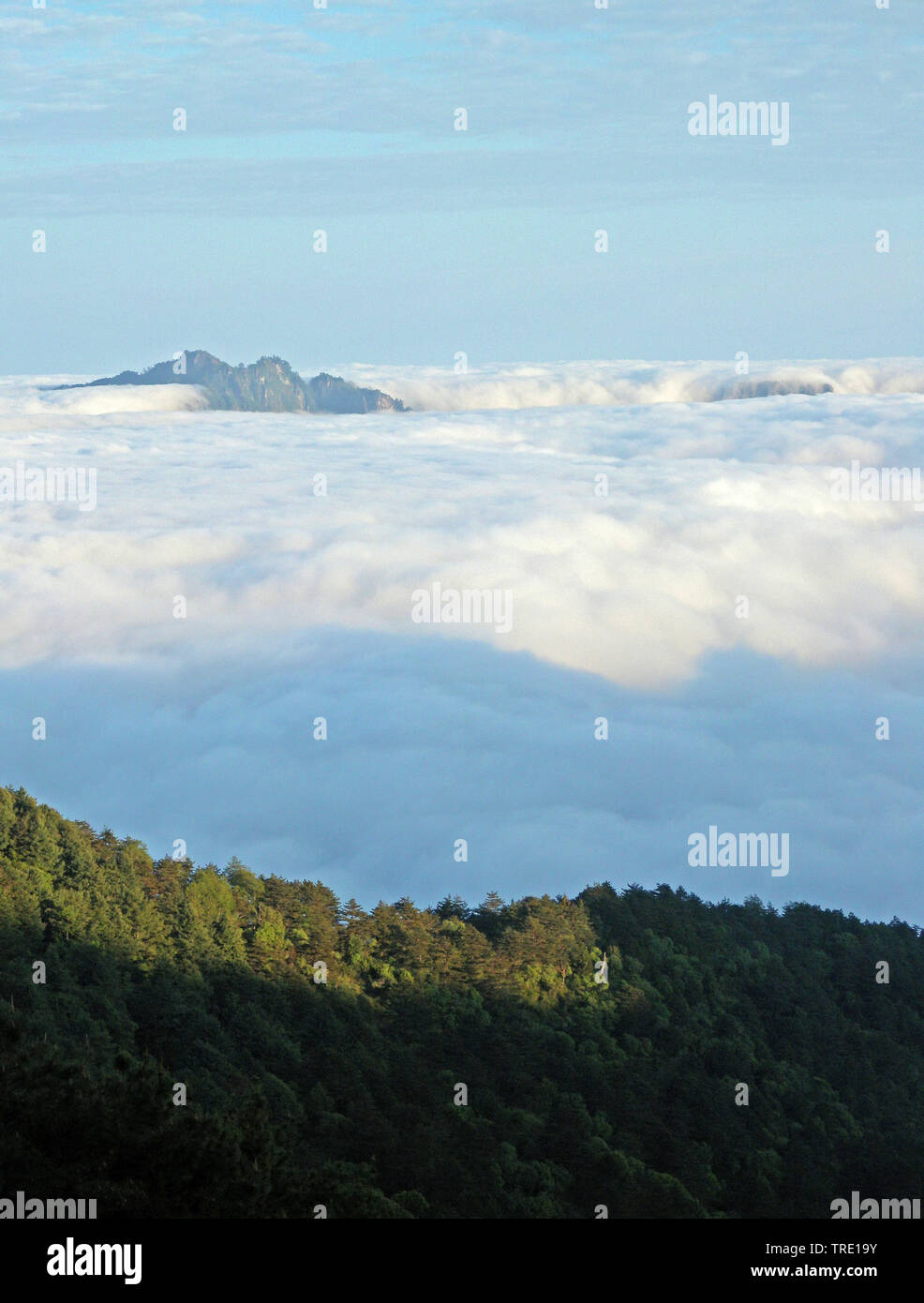 landscape in Taiwan, Alishan, Taiwan Stock Photo