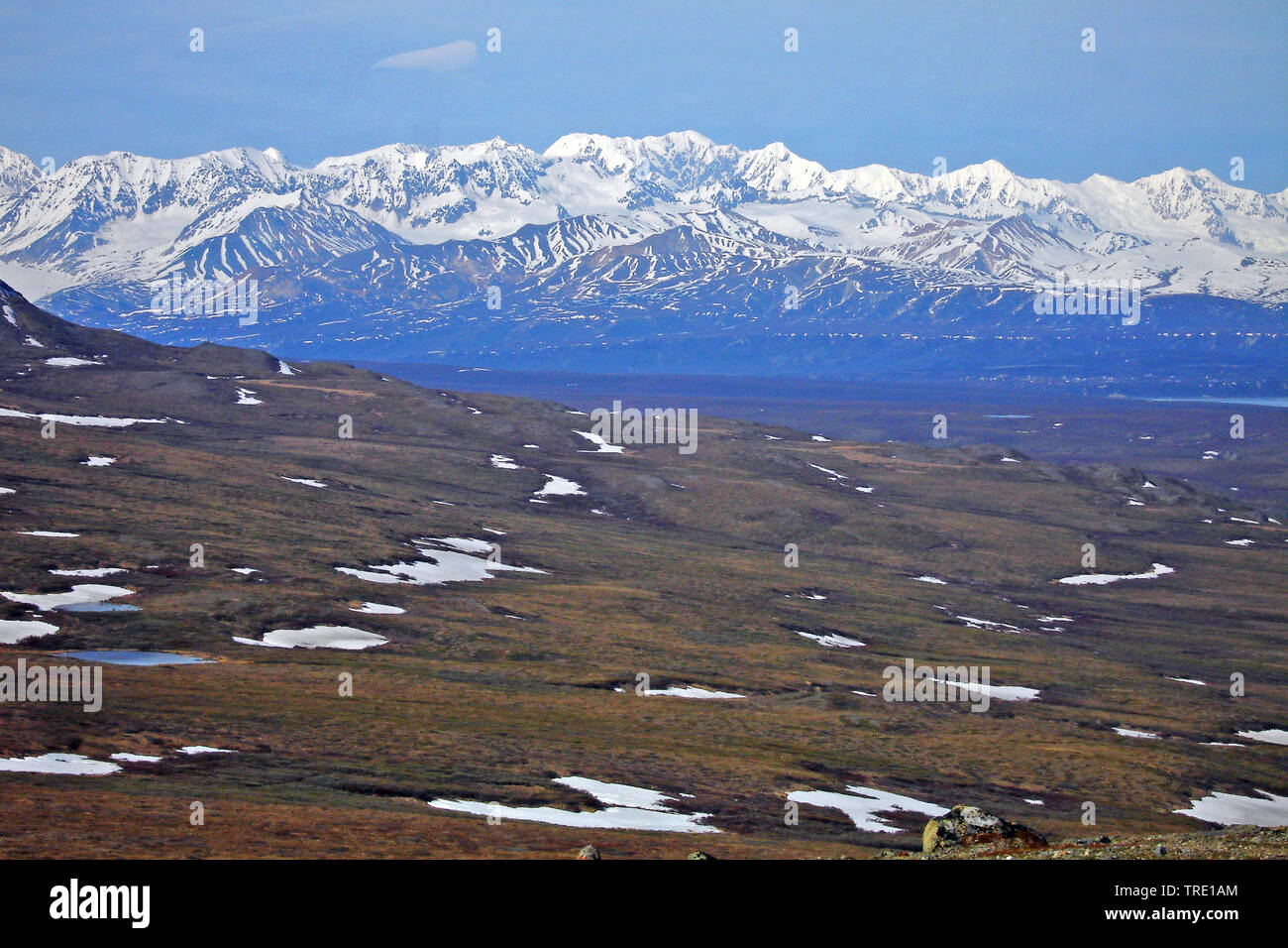 landscape at the Denali National Park, USA, Alaska, Denali Nationalpark Stock Photo