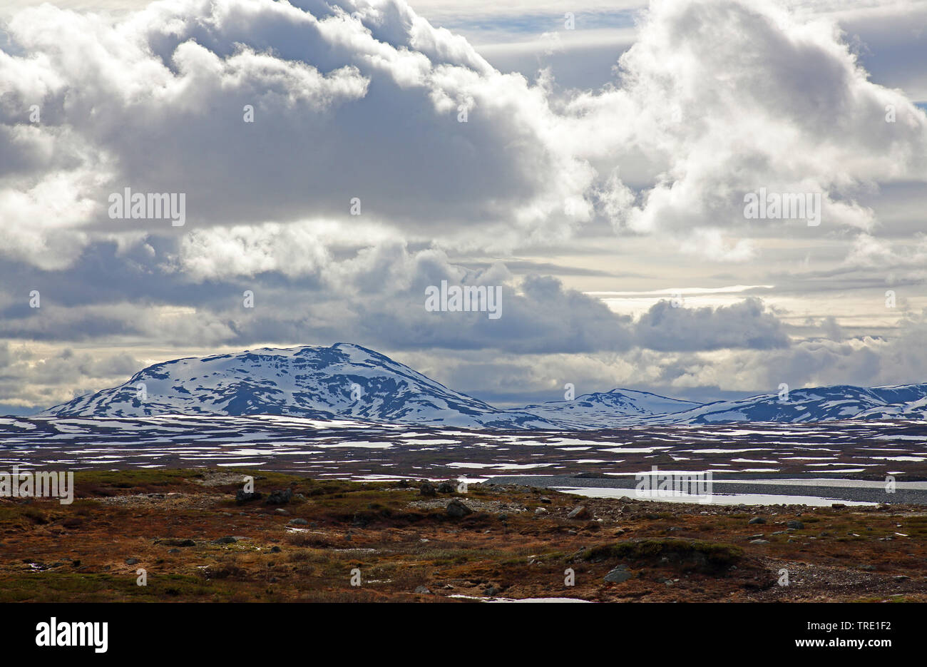 snow fields in the fjell, Norway, Borgefjell National Park, Klimpfjaell Stock Photo