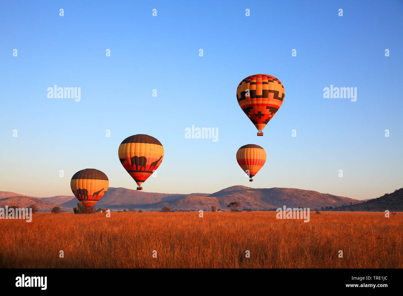 hot-air balloon ride over Pilanesberg Game Reserve, South Africa, North West Province, Pilanesberg National Park Stock Photo