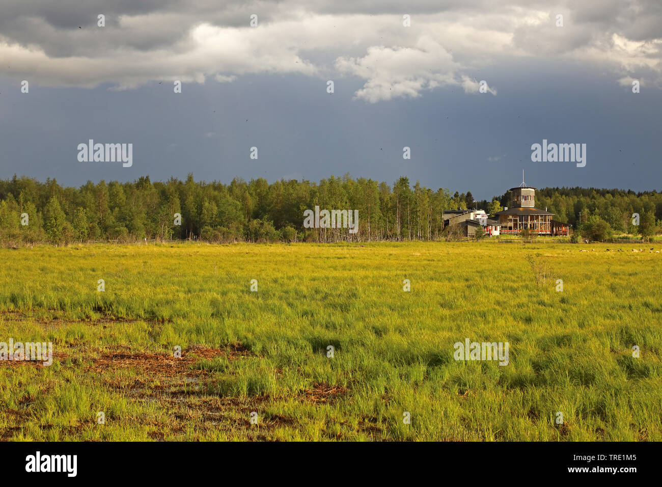 Liminka Bay Visitor Centre, Finland, Liminka Stock Photo