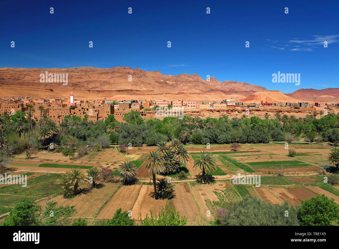oasis town, Morocco, Tinghir Stock Photo